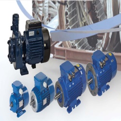 elektromotoren pumpen